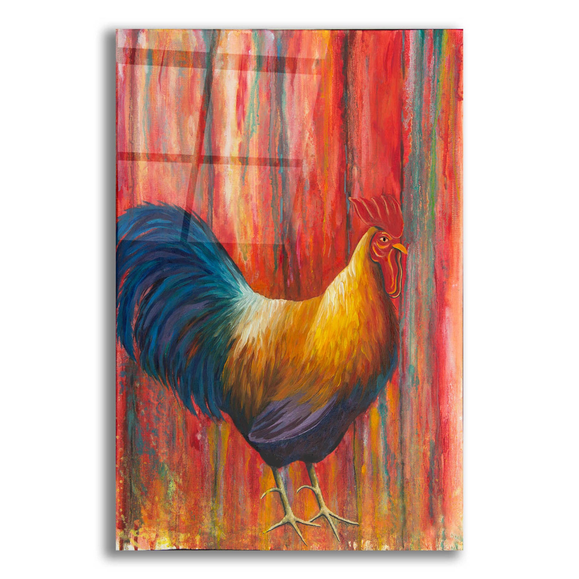 Epic Art 'Mr. Rooster' by Michelle Faber, Acrylic Glass Wall Art,12x16