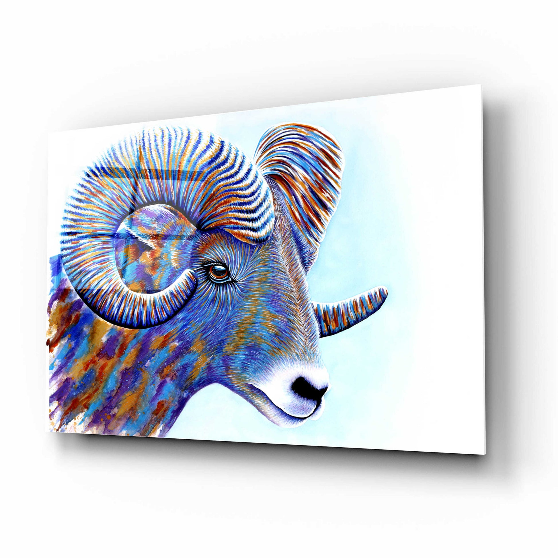 Epic Art 'Ram' by Michelle Faber, Acrylic Glass Wall Art,16x12