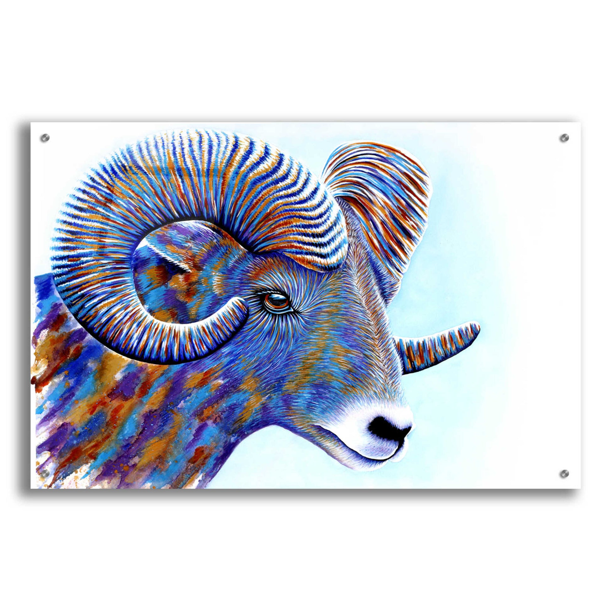 Epic Art 'Ram' by Michelle Faber, Acrylic Glass Wall Art,36x24