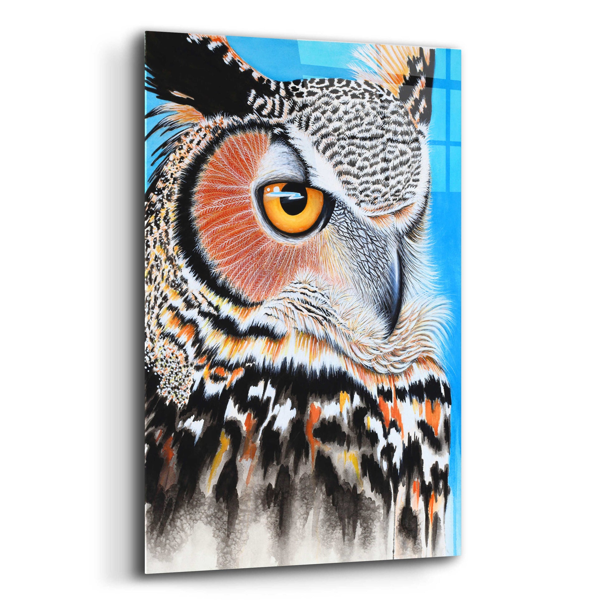 Epic Art 'Great Horned Owl Eye' by Michelle Faber, Acrylic Glass Wall Art,12x16