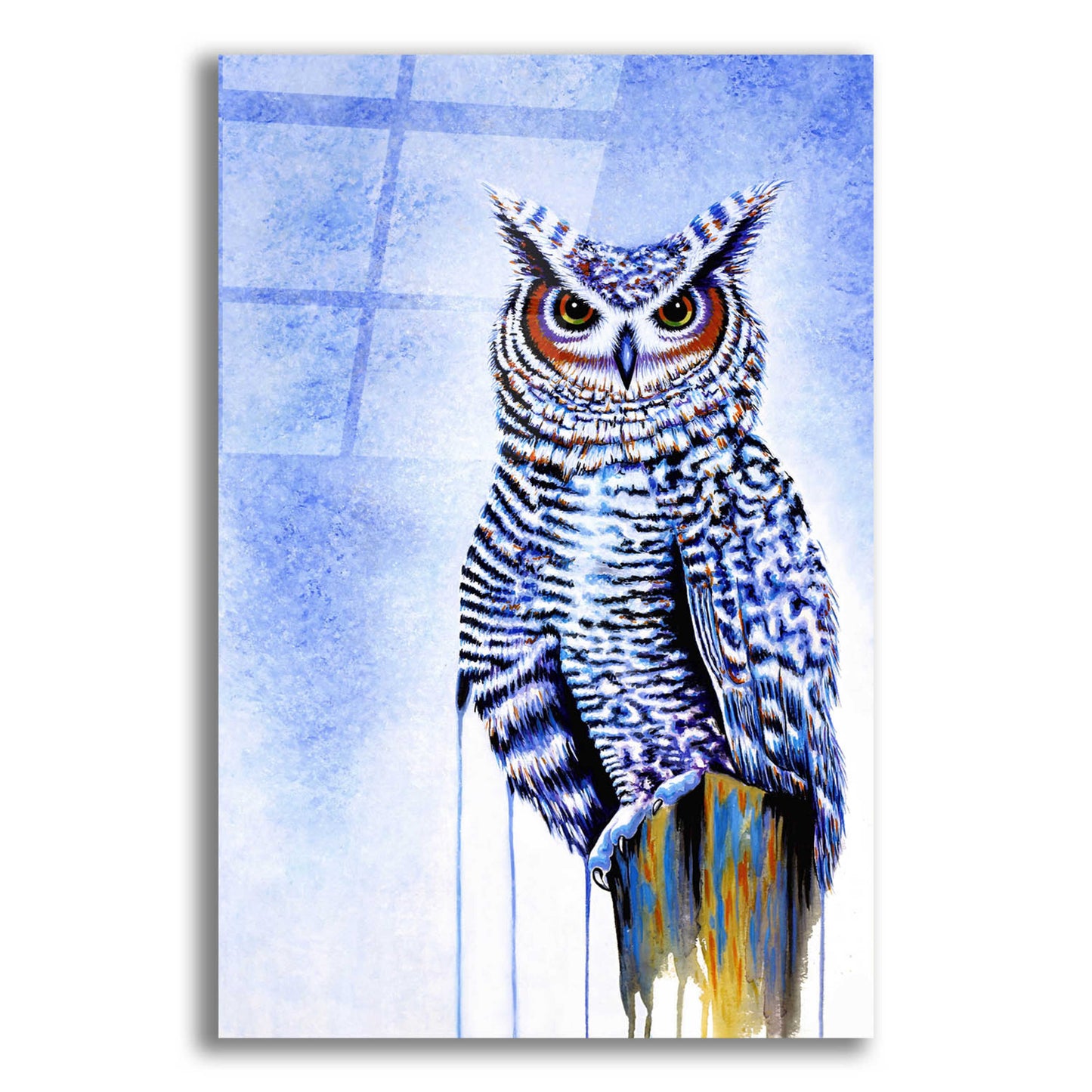 Epic Art 'Great Horned Owl In Blue' by Michelle Faber, Acrylic Glass Wall Art,12x16