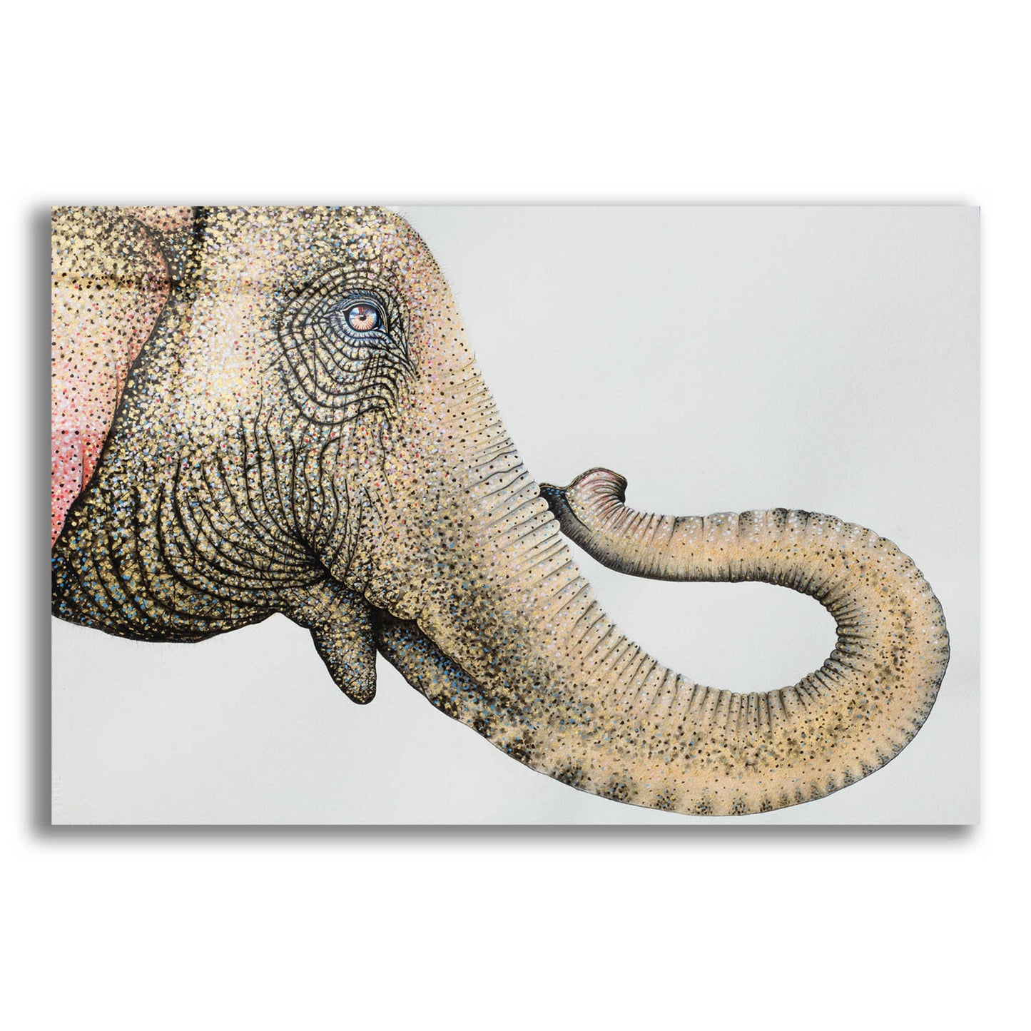 Epic Art 'Spotted Asian Elephant 2' by Michelle Faber, Acrylic Glass Wall Art,16x12