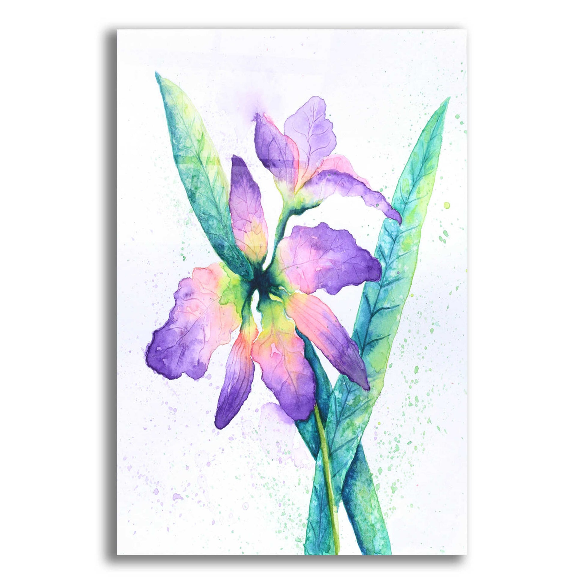 Epic Art 'Purple Orchid' by Michelle Faber, Acrylic Glass Wall Art,12x16