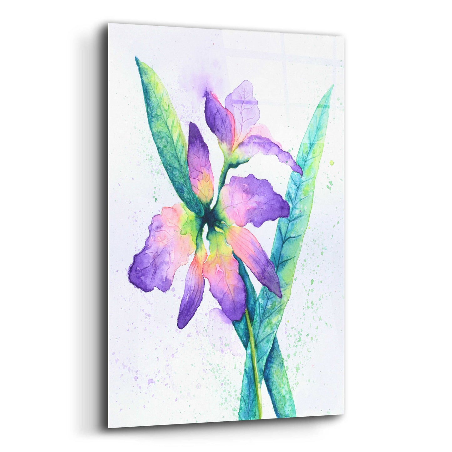 Epic Art 'Purple Orchid' by Michelle Faber, Acrylic Glass Wall Art,16x24