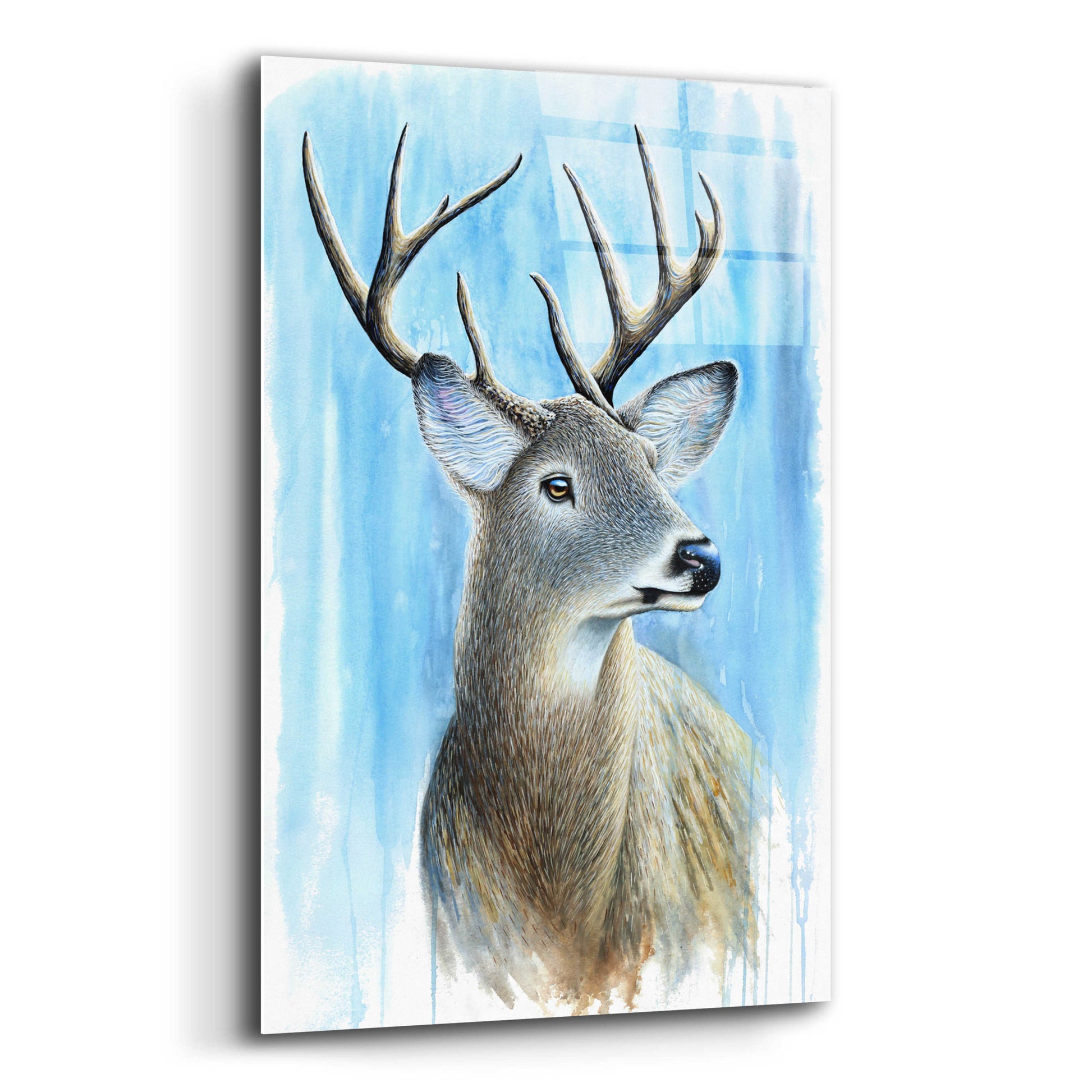 Epic Art 'Buck' by Michelle Faber, Acrylic Glass Wall Art,12x16