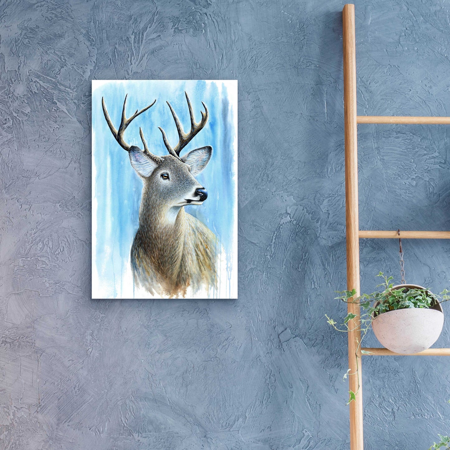 Epic Art 'Buck' by Michelle Faber, Acrylic Glass Wall Art,16x24