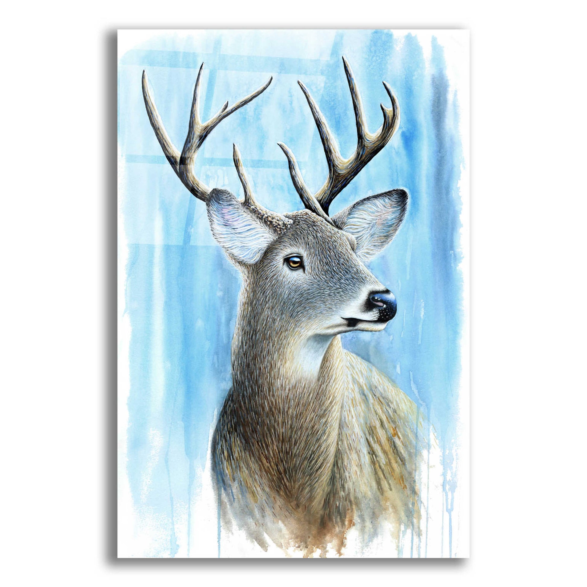 Epic Art 'Buck' by Michelle Faber, Acrylic Glass Wall Art,16x24