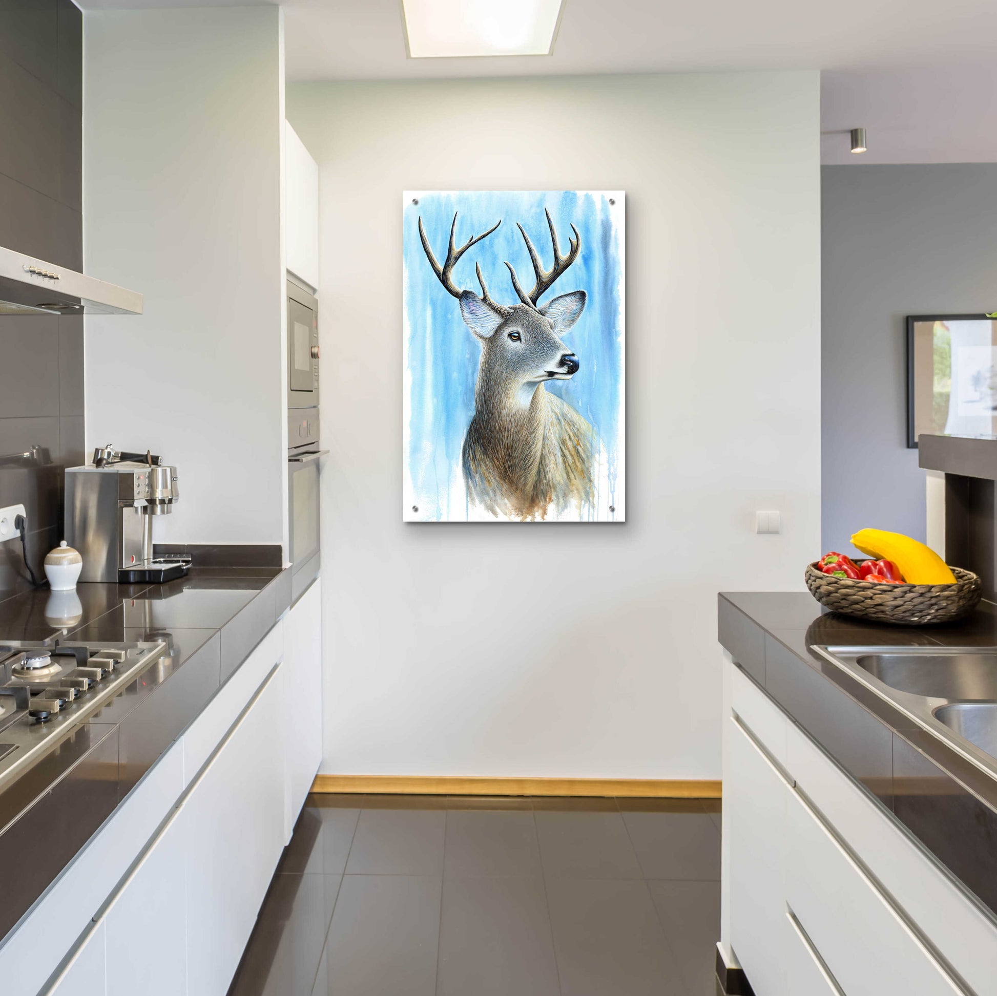 Epic Art 'Buck' by Michelle Faber, Acrylic Glass Wall Art,24x36