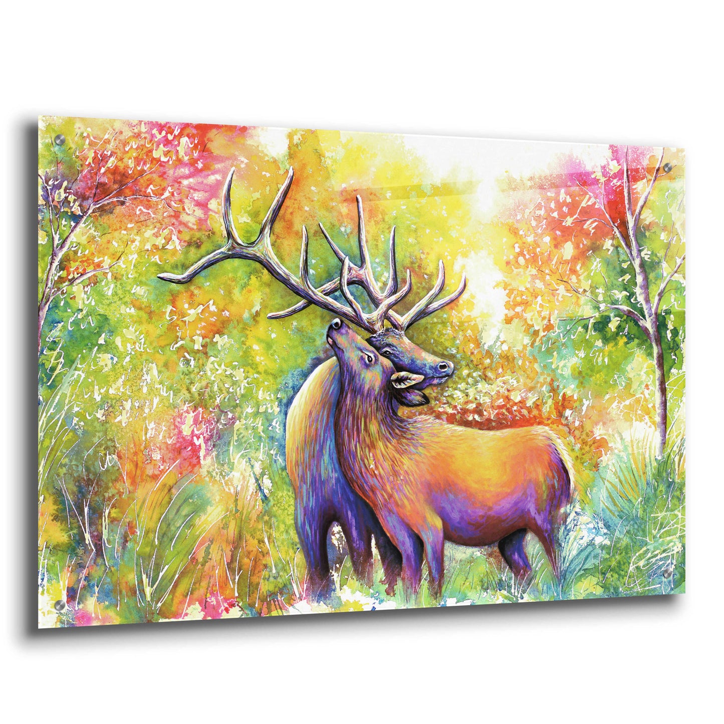 Epic Art 'Elk Love' by Michelle Faber, Acrylic Glass Wall Art,36x24