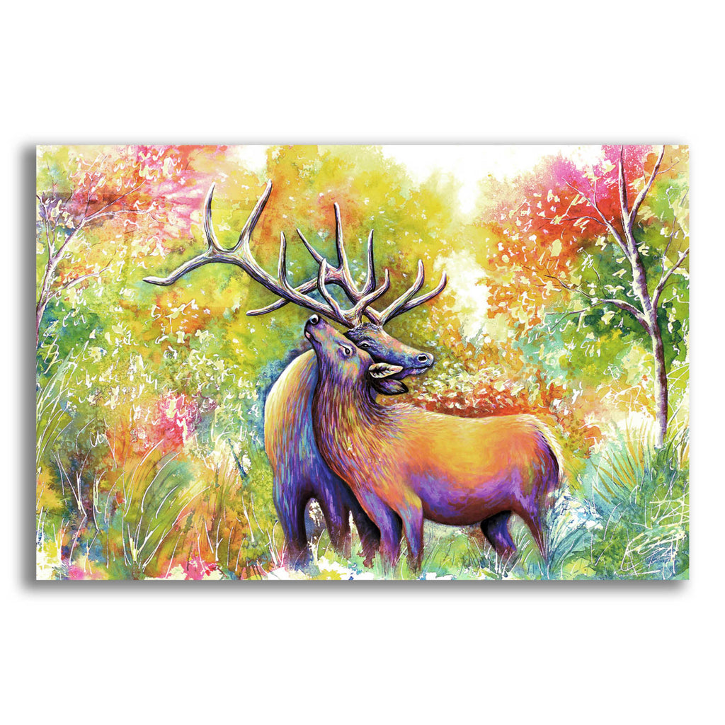 Epic Art 'Elk Love' by Michelle Faber, Acrylic Glass Wall Art