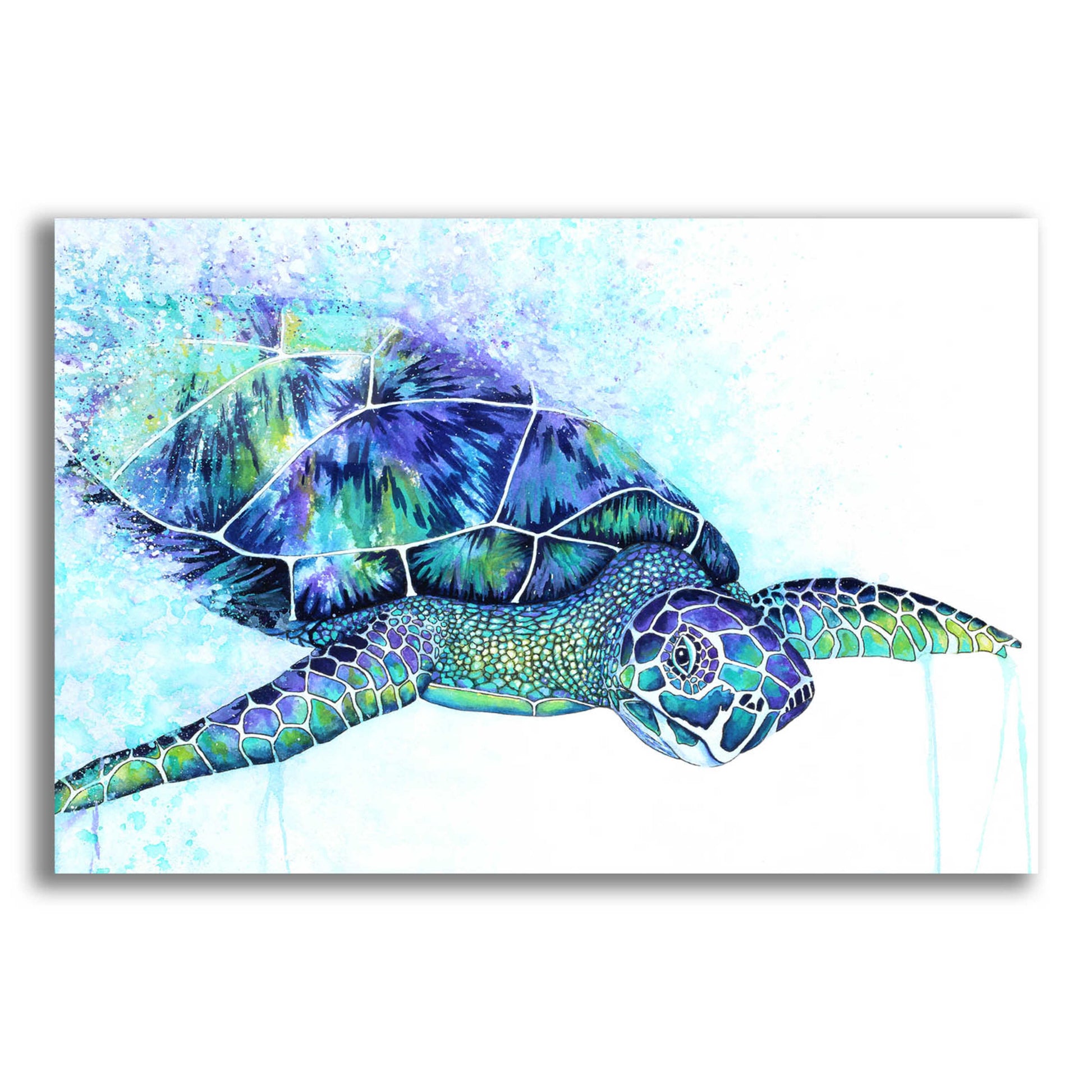 Epic Art 'Sea Turtle' by Michelle Faber, Acrylic Glass Wall Art,24x16