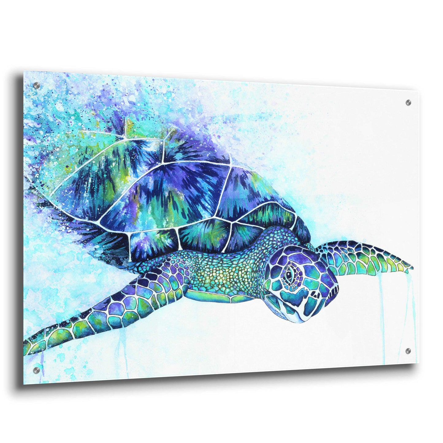 Epic Art 'Sea Turtle' by Michelle Faber, Acrylic Glass Wall Art,36x24