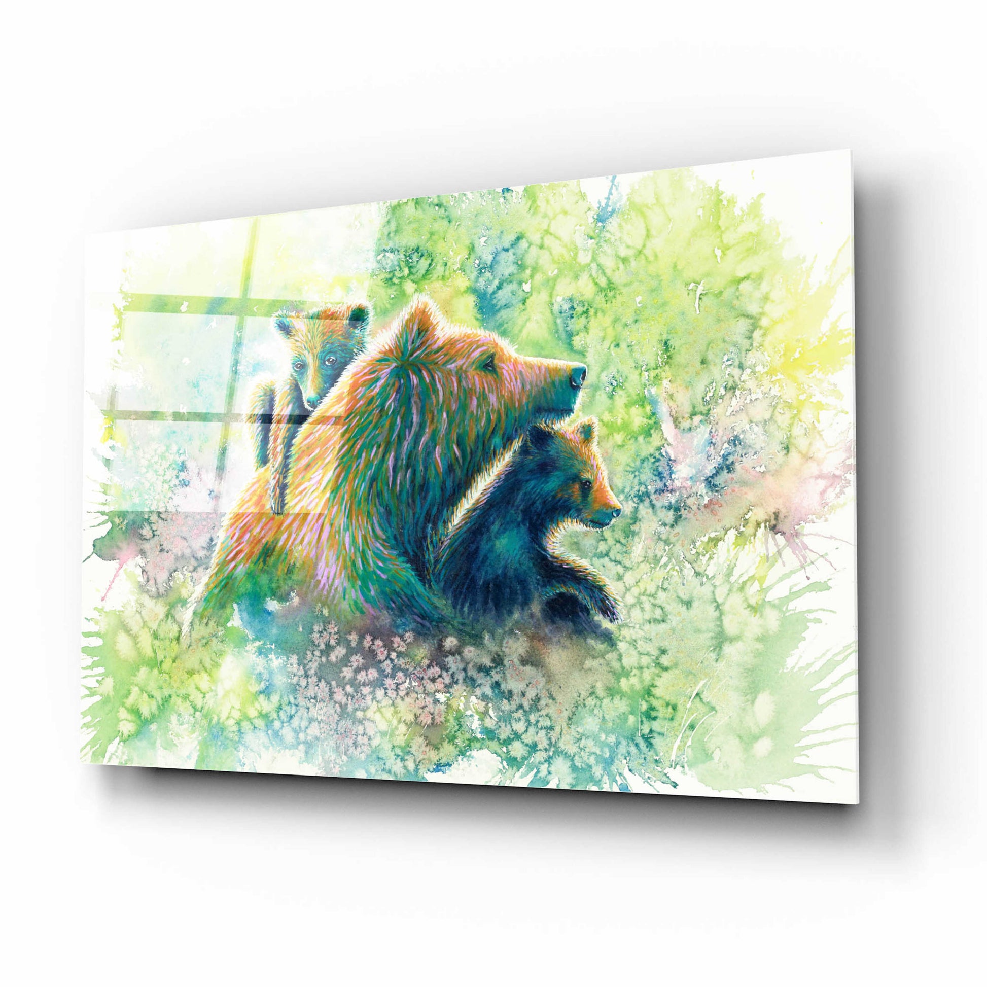 Epic Art 'Mother Grizzly Bear' by Michelle Faber, Acrylic Glass Wall Art,16x12