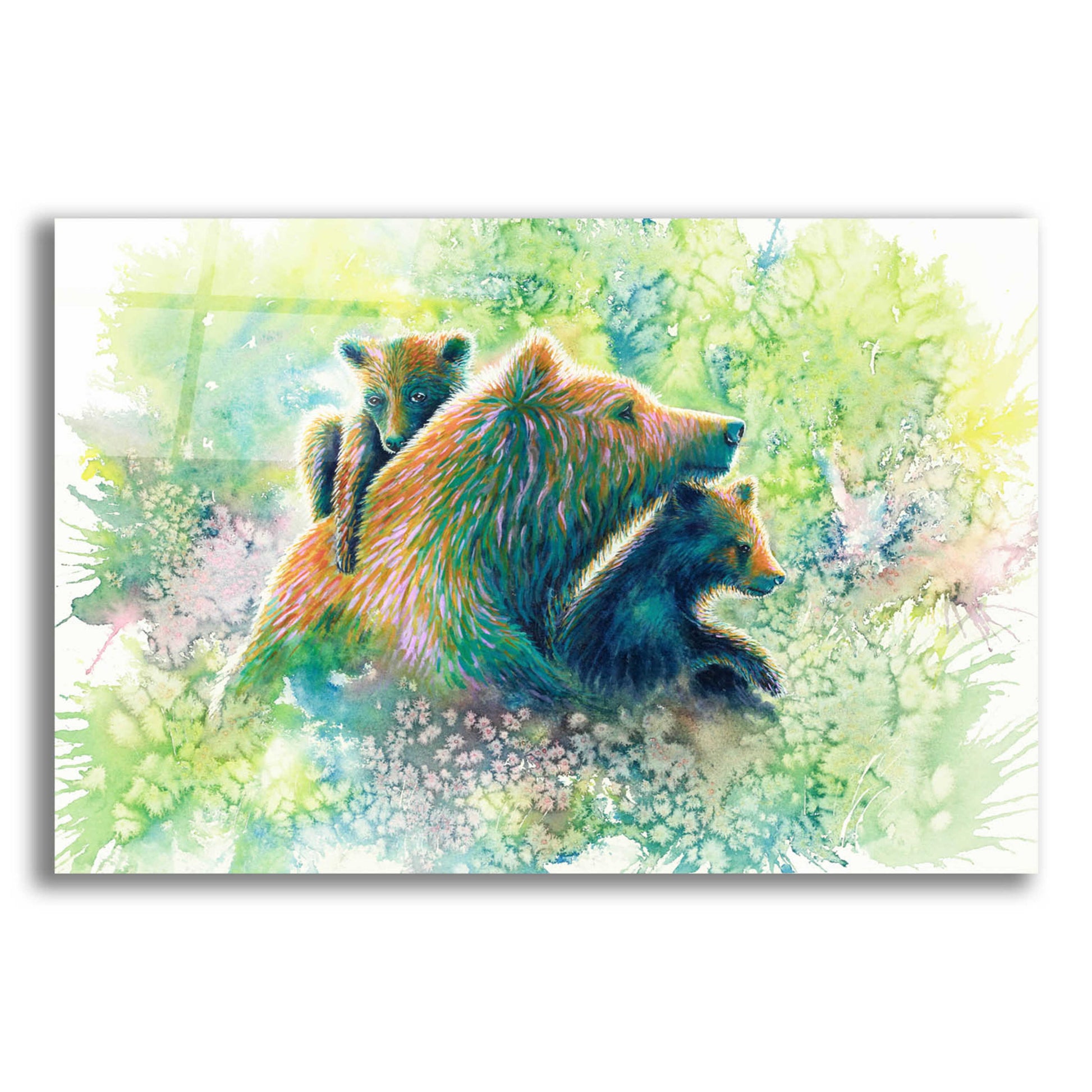 Epic Art 'Mother Grizzly Bear' by Michelle Faber, Acrylic Glass Wall Art,16x12