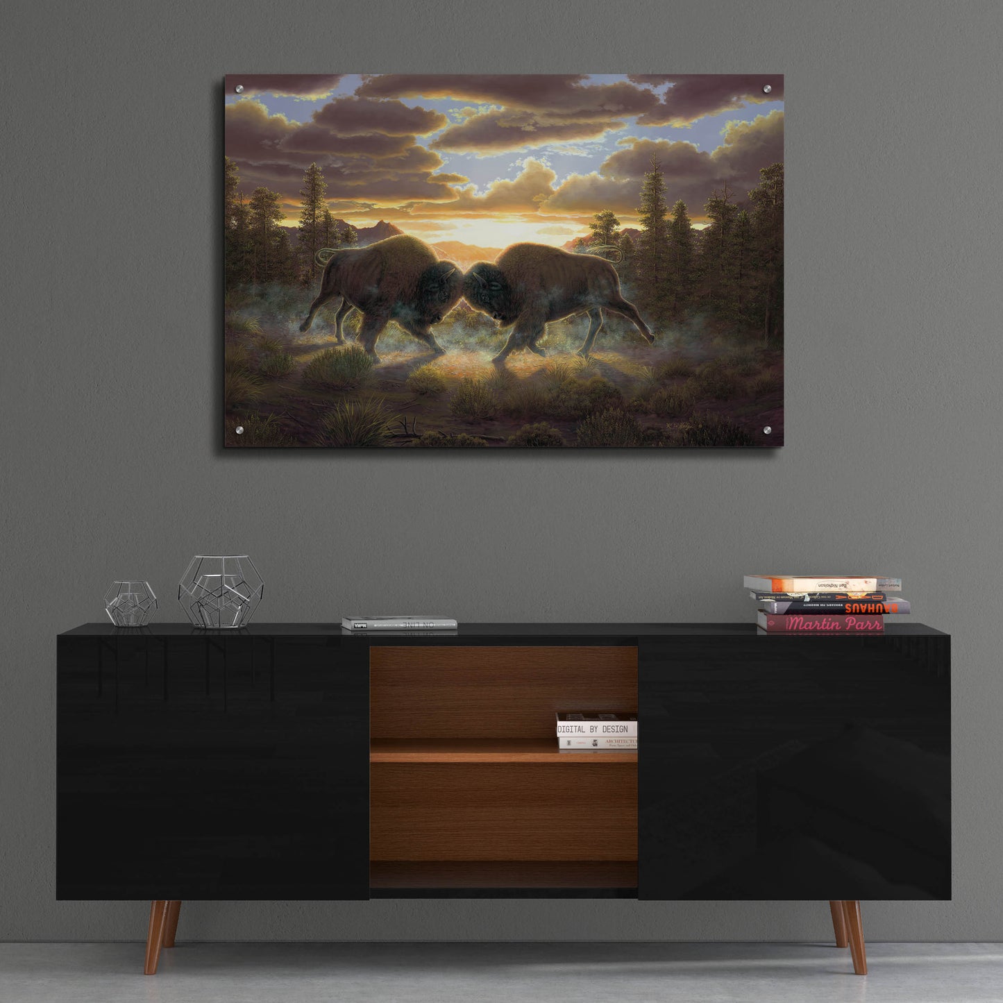 Epic Art 'Buffalo' by R. Hed, Acrylic Glass Wall Art,36x24