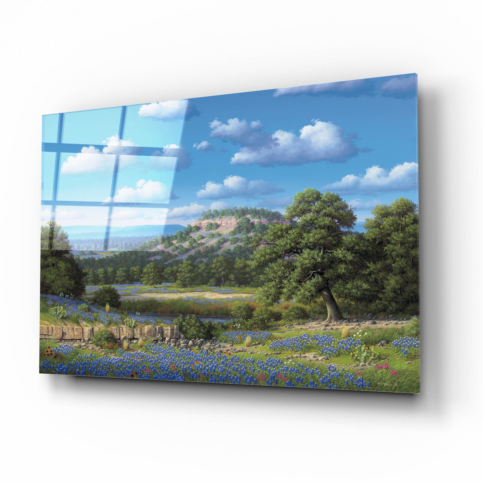 Epic Art 'Blue Bonnet Hill' by R. Hed, Acrylic Glass Wall Art,16x12