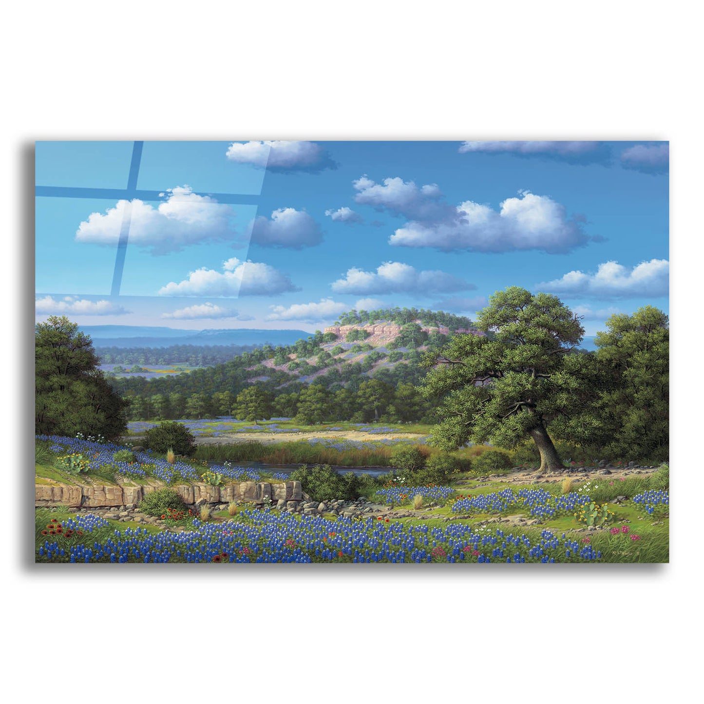 Epic Art 'Blue Bonnet Hill' by R. Hed, Acrylic Glass Wall Art,16x12