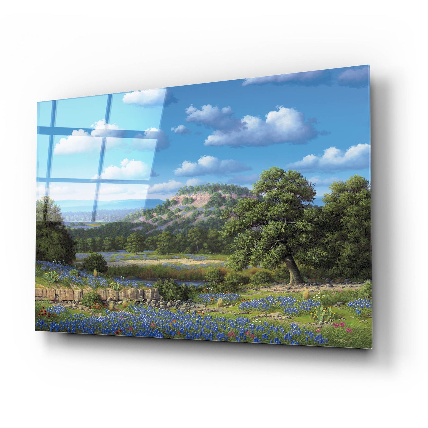 Epic Art 'Blue Bonnet Hill' by R. Hed, Acrylic Glass Wall Art,24x16