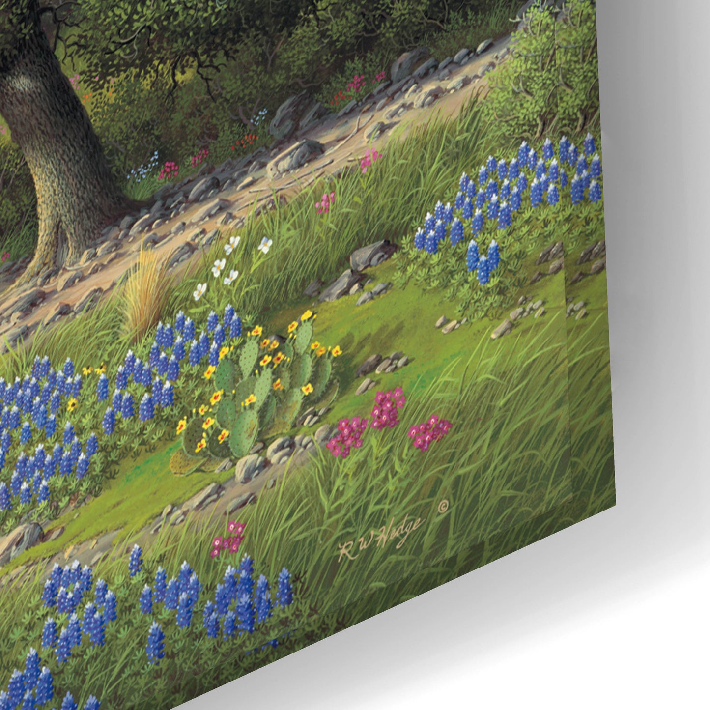 Epic Art 'Blue Bonnet Hill' by R. Hed, Acrylic Glass Wall Art,24x16