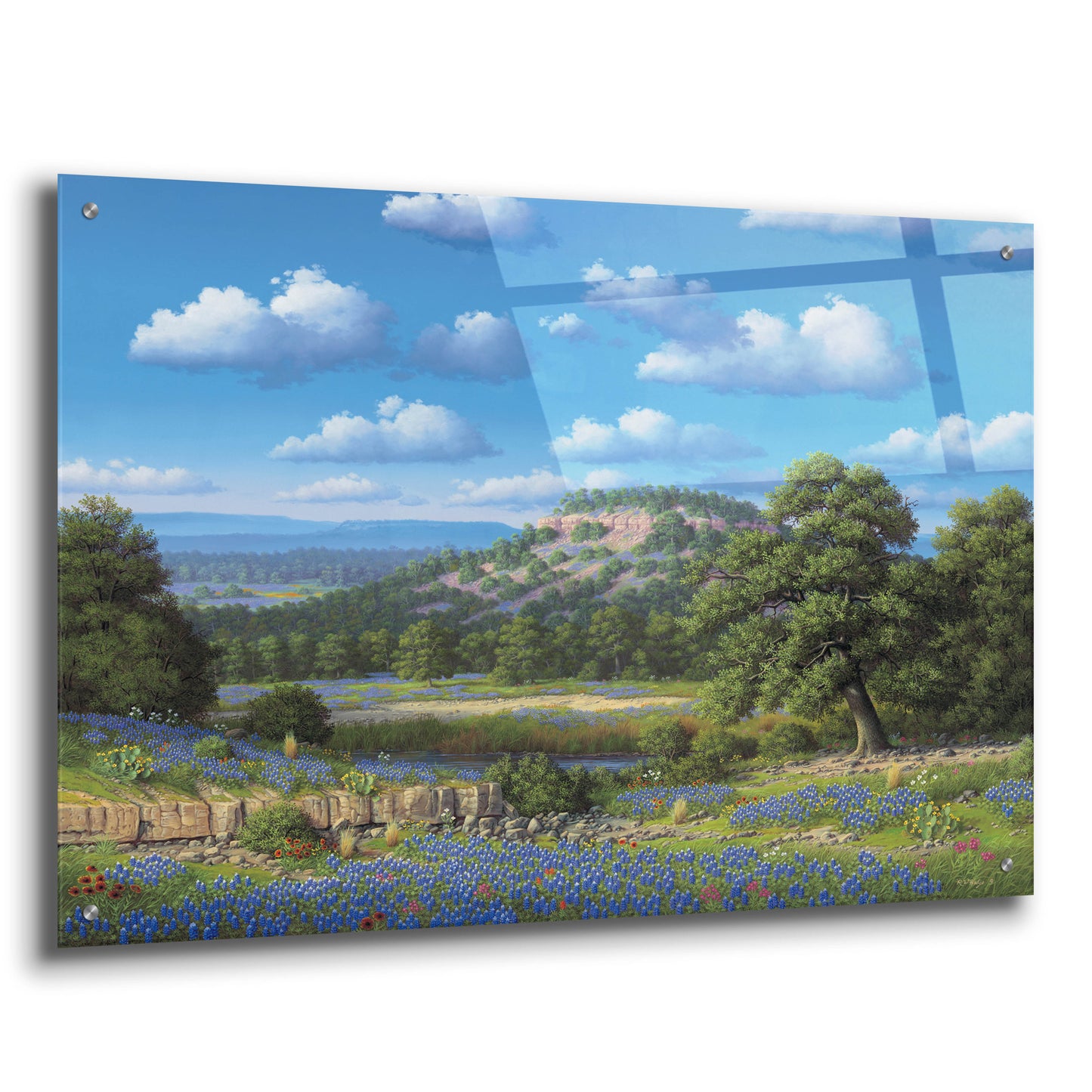 Epic Art 'Blue Bonnet Hill' by R. Hed, Acrylic Glass Wall Art,36x24