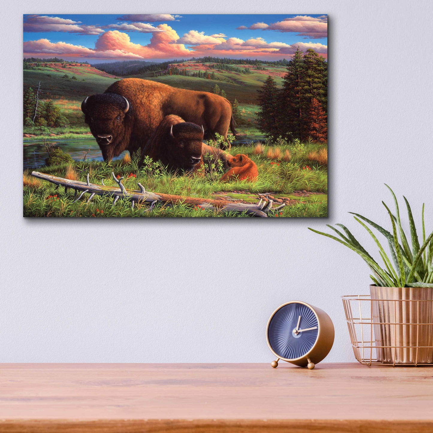 Epic Art 'Buffalo Nation' by R. Hed, Acrylic Glass Wall Art,16x12