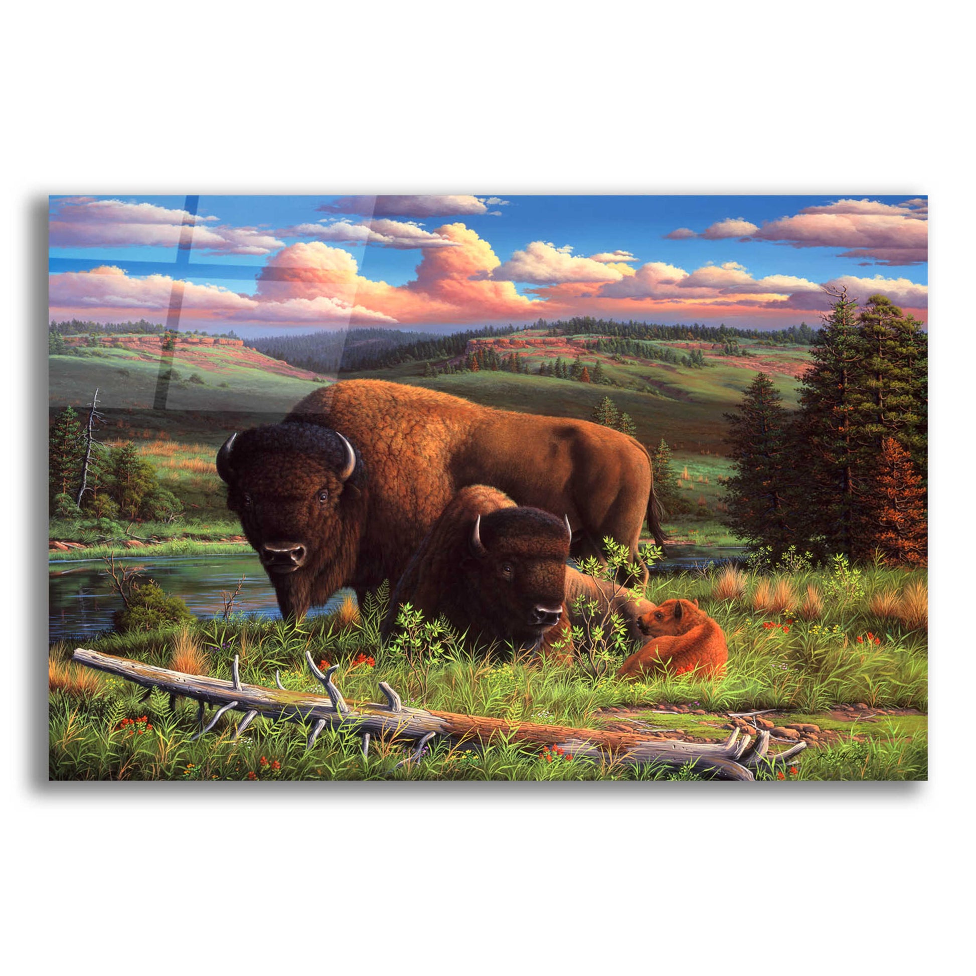 Epic Art 'Buffalo Nation' by R. Hed, Acrylic Glass Wall Art,24x16