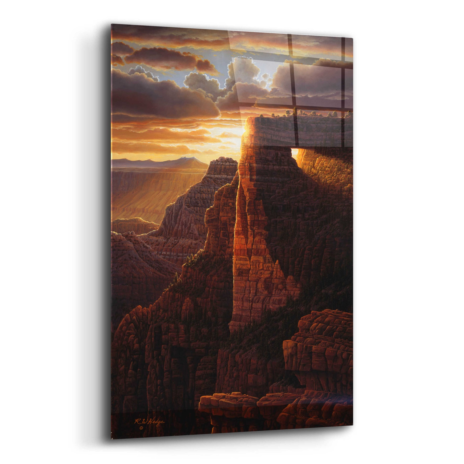 Epic Art 'The Light Of Life' by R. Hed, Acrylic Glass Wall Art,12x16