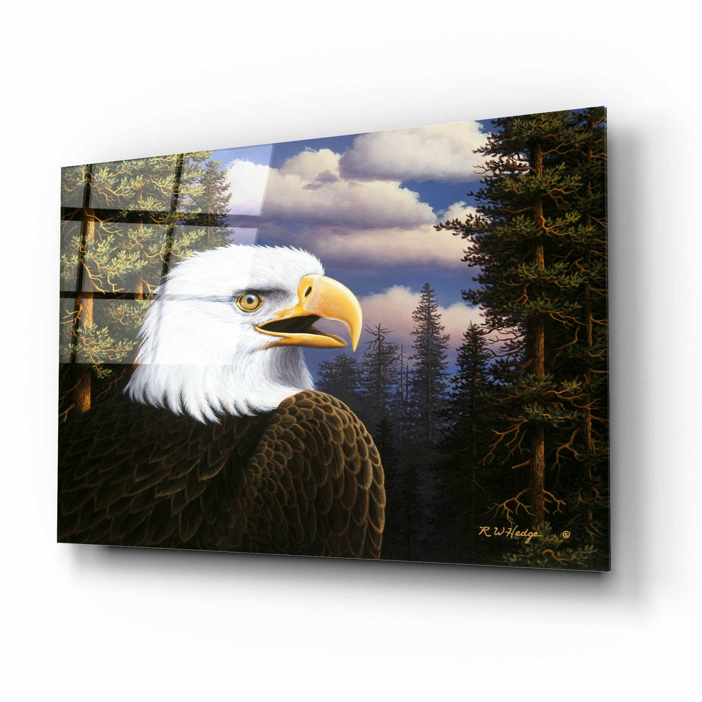 Epic Art 'Proud & Free' by R. Hed, Acrylic Glass Wall Art,16x12