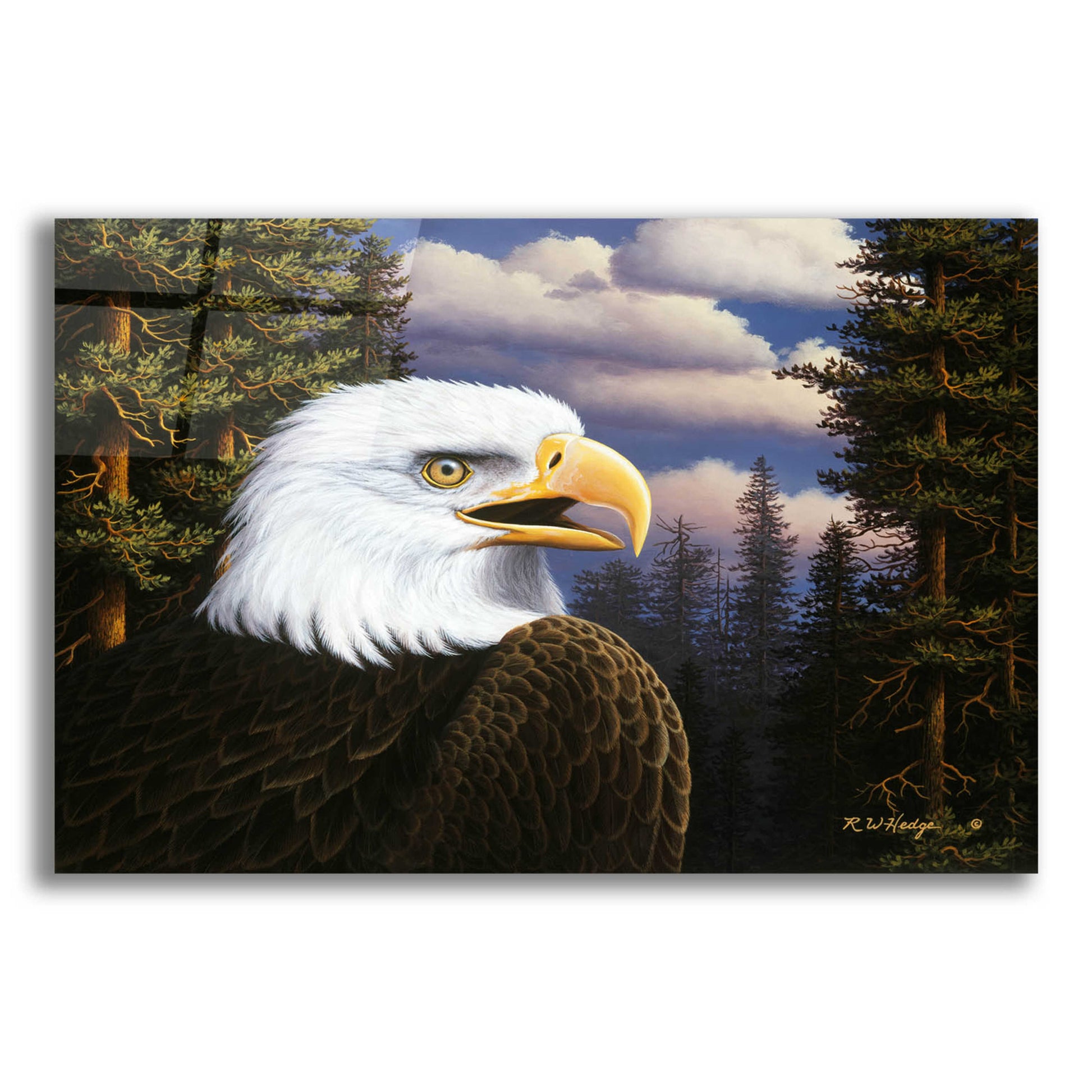 Epic Art 'Proud & Free' by R. Hed, Acrylic Glass Wall Art,16x12