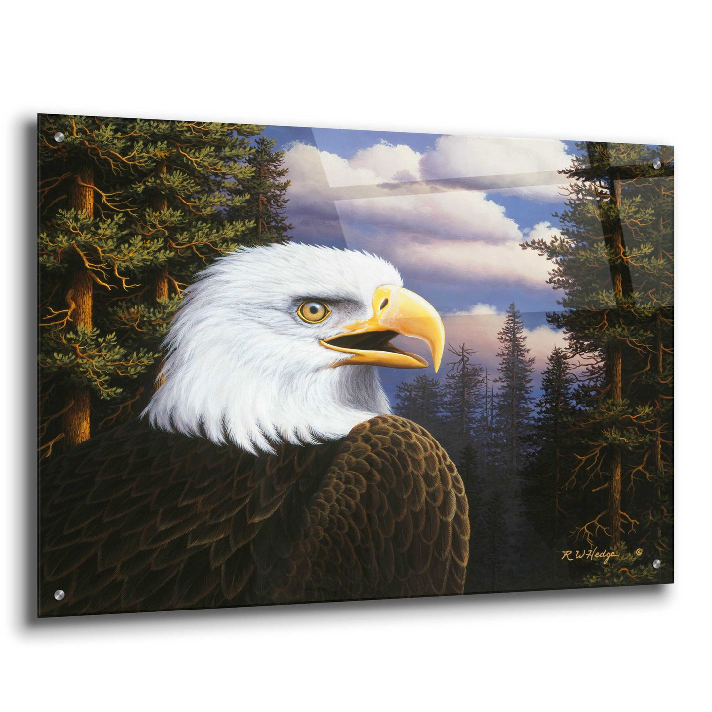 Epic Art 'Proud & Free' by R. Hed, Acrylic Glass Wall Art,36x24