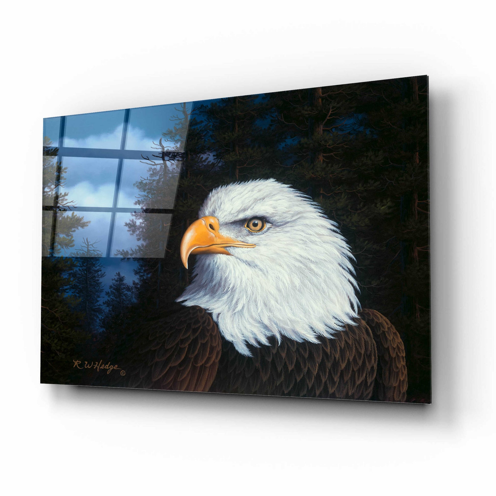 Epic Art 'The Face Of Freedom' by R. Hed, Acrylic Glass Wall Art,16x12