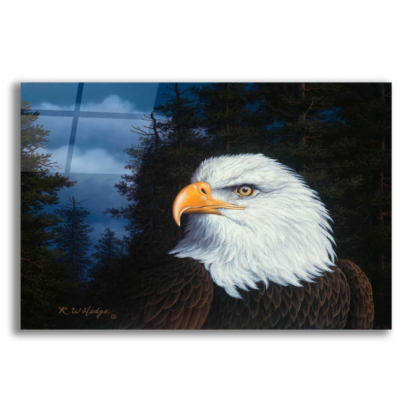 Epic Art 'The Face Of Freedom' by R. Hed, Acrylic Glass Wall Art,16x12