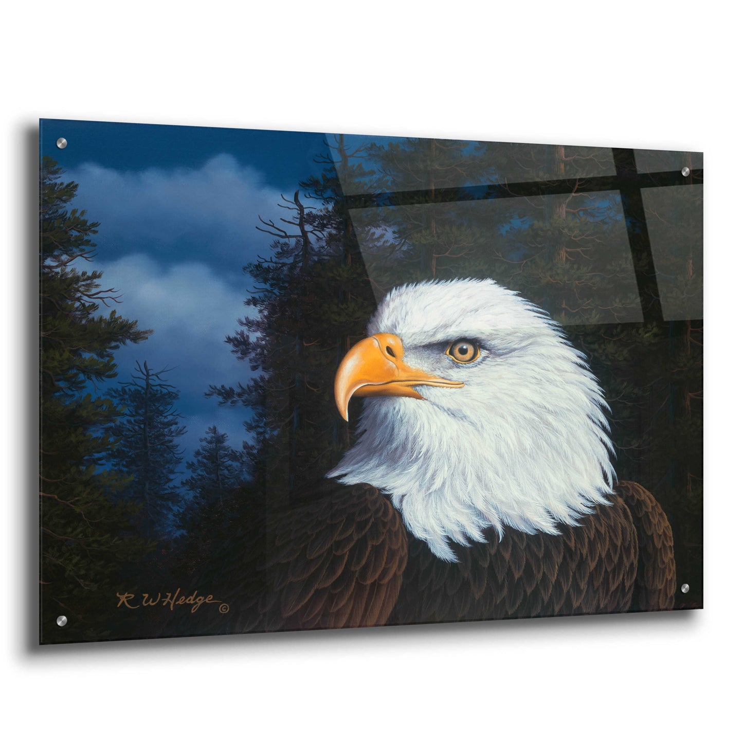 Epic Art 'The Face Of Freedom' by R. Hed, Acrylic Glass Wall Art,36x24