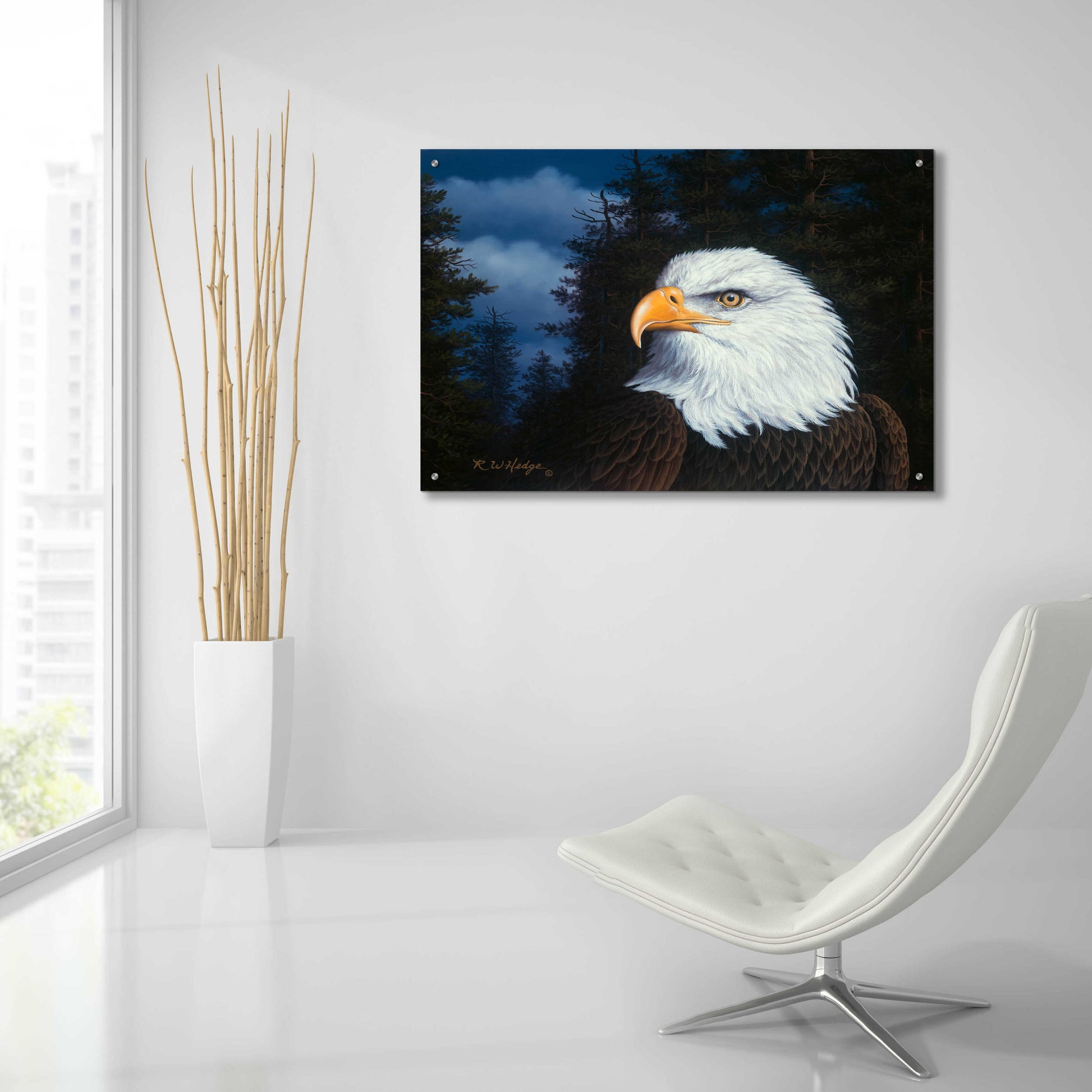 Epic Art 'The Face Of Freedom' by R. Hed, Acrylic Glass Wall Art,36x24