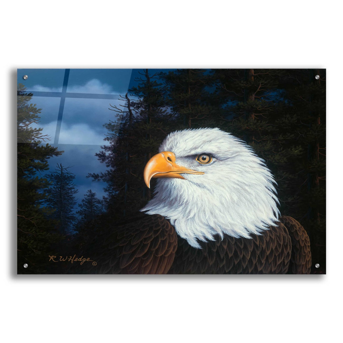 Epic Art 'The Face Of Freedom' by R. Hed, Acrylic Glass Wall Art,36x24