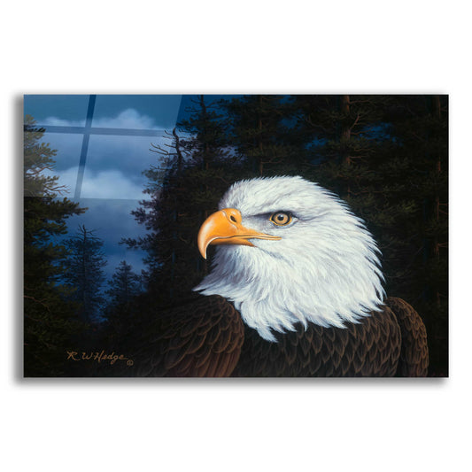 Epic Art 'The Face Of Freedom' by R. Hed, Acrylic Glass Wall Art