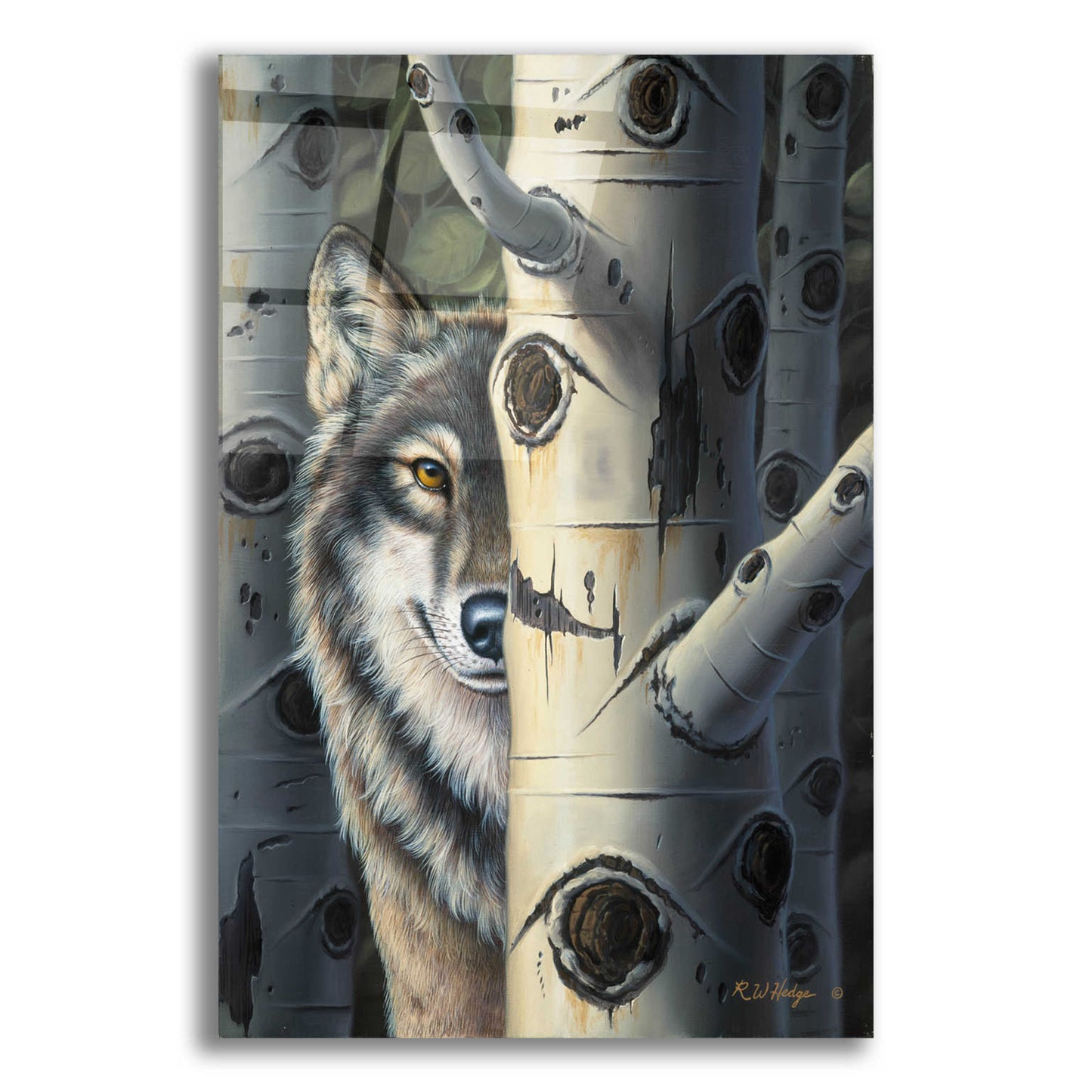 Epic Art 'Disguise' by R. Hed, Acrylic Glass Wall Art,12x16