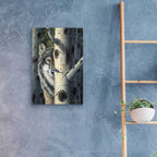 Epic Art 'Disguise' by R. Hed, Acrylic Glass Wall Art,16x24
