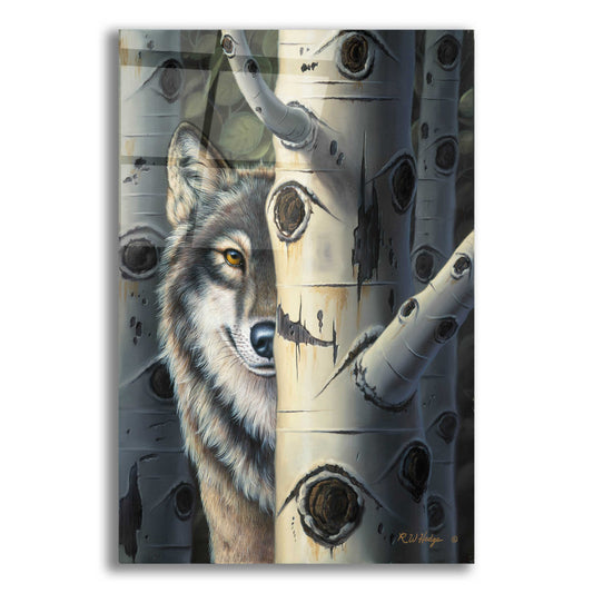 Epic Art 'Disguise' by R. Hed, Acrylic Glass Wall Art