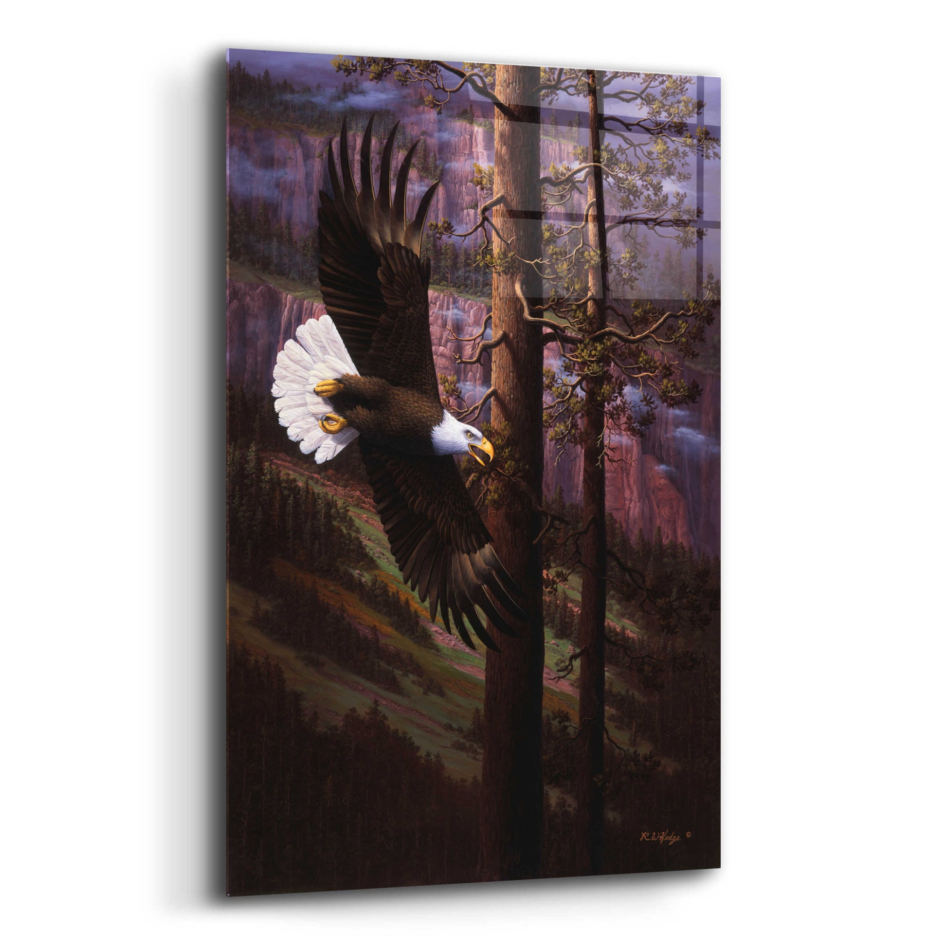 Epic Art 'The Master Of Freedom' by R. Hed, Acrylic Glass Wall Art,12x16