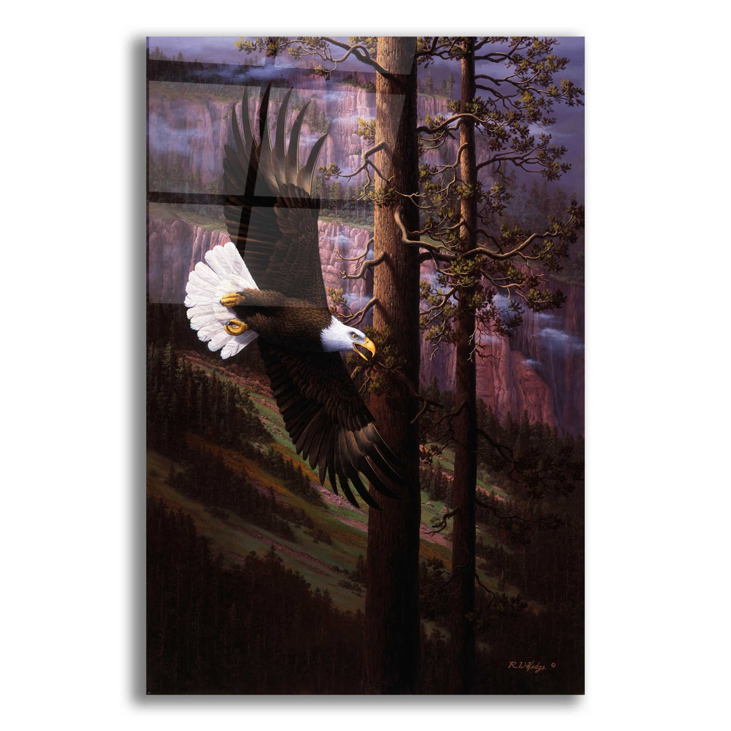 Epic Art 'The Master Of Freedom' by R. Hed, Acrylic Glass Wall Art