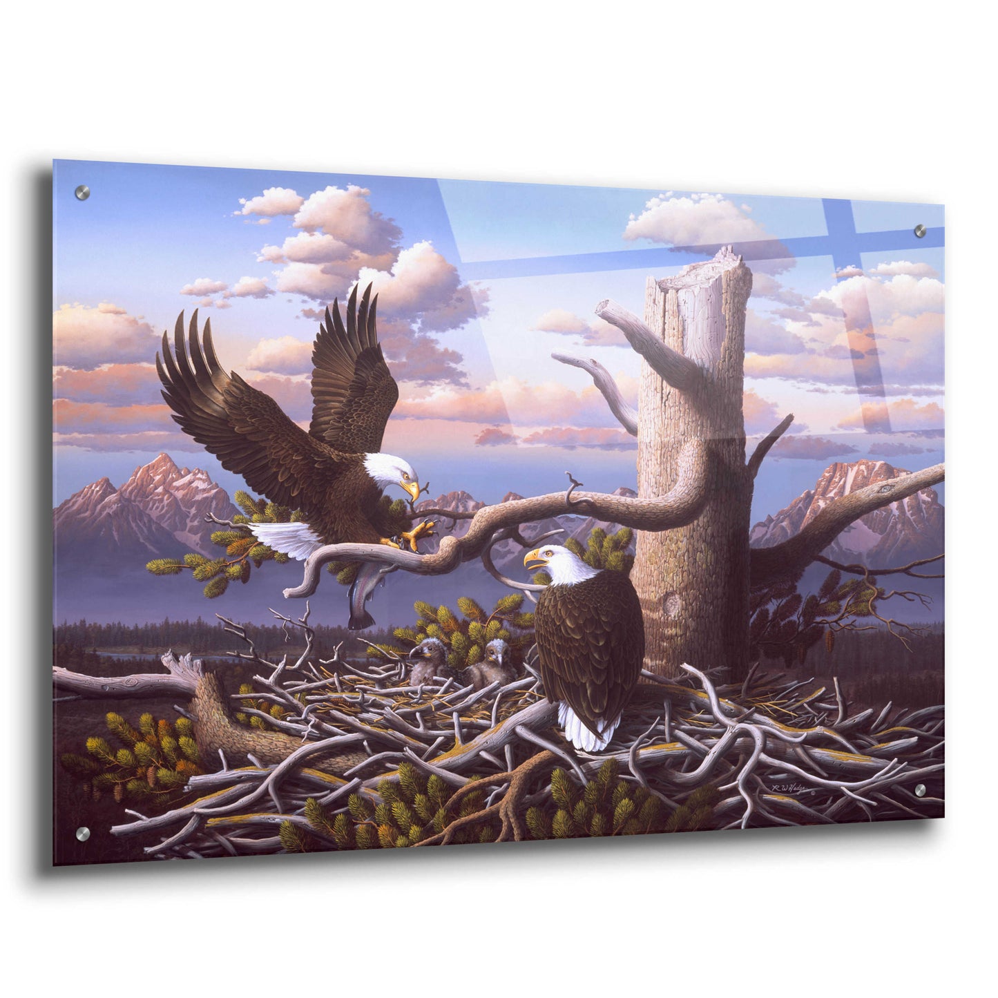 Epic Art 'Raising Freedom' by R. Hed, Acrylic Glass Wall Art,36x24