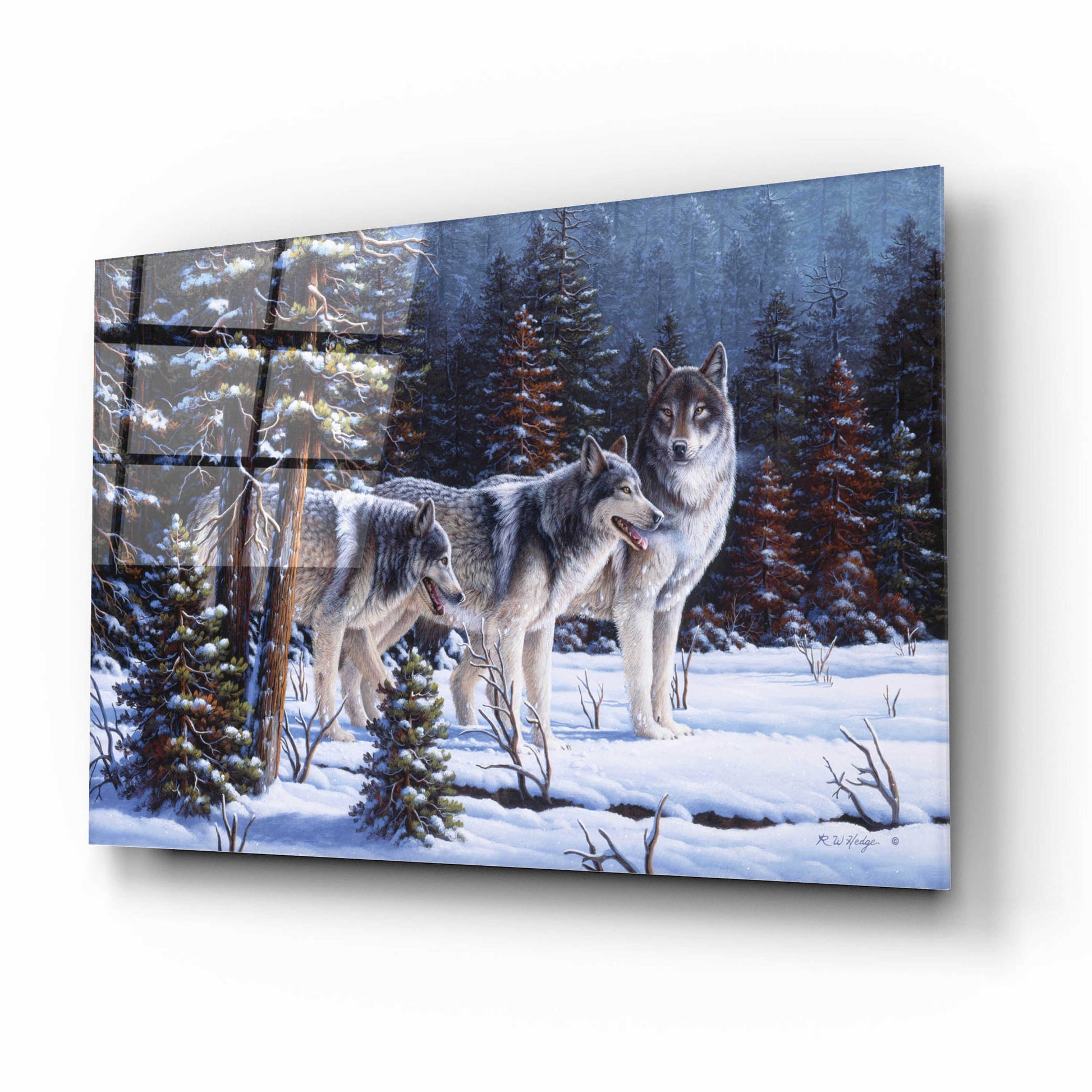 Epic Art 'Winter Coats' by R. Hed, Acrylic Glass Wall Art,16x12