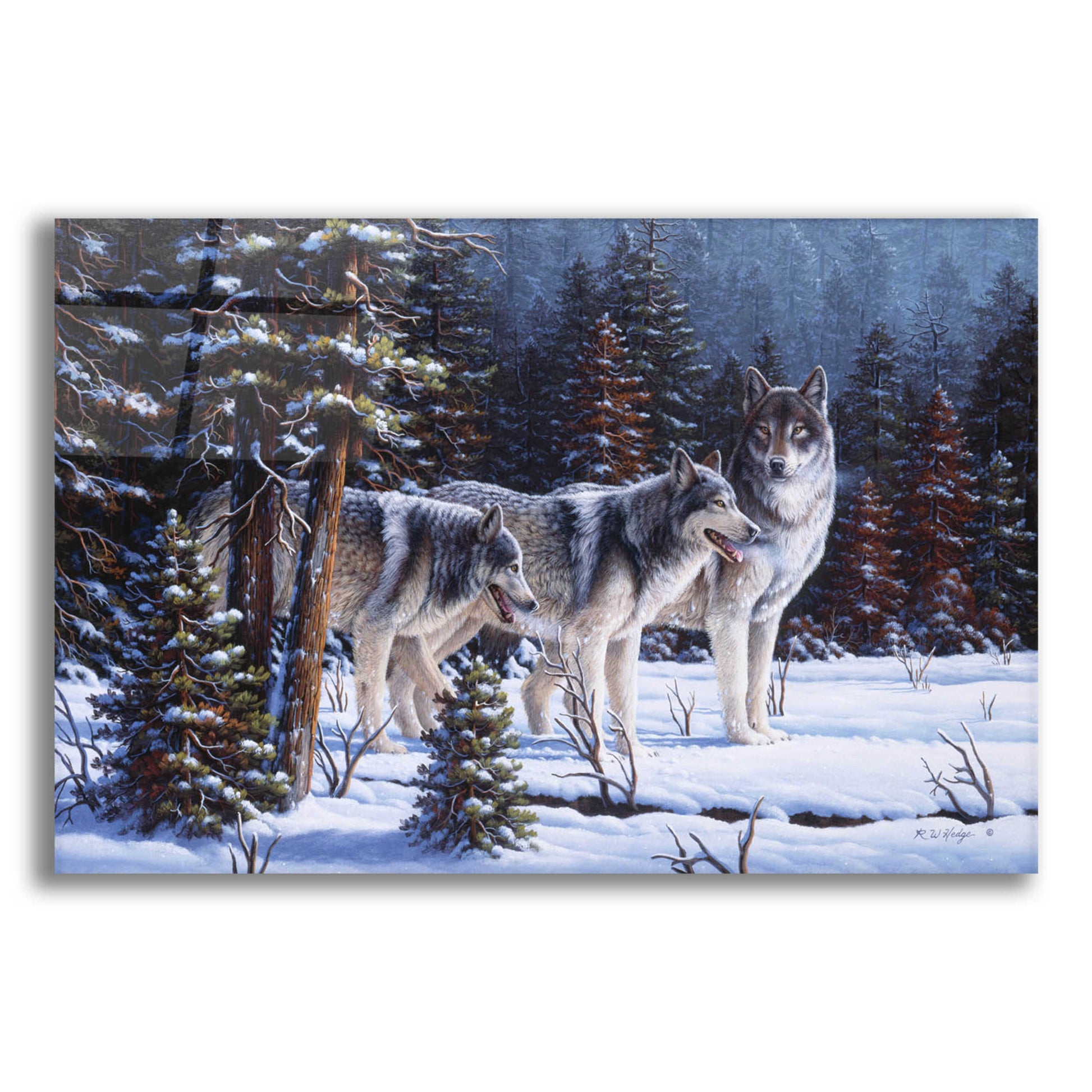 Epic Art 'Winter Coats' by R. Hed, Acrylic Glass Wall Art,16x12