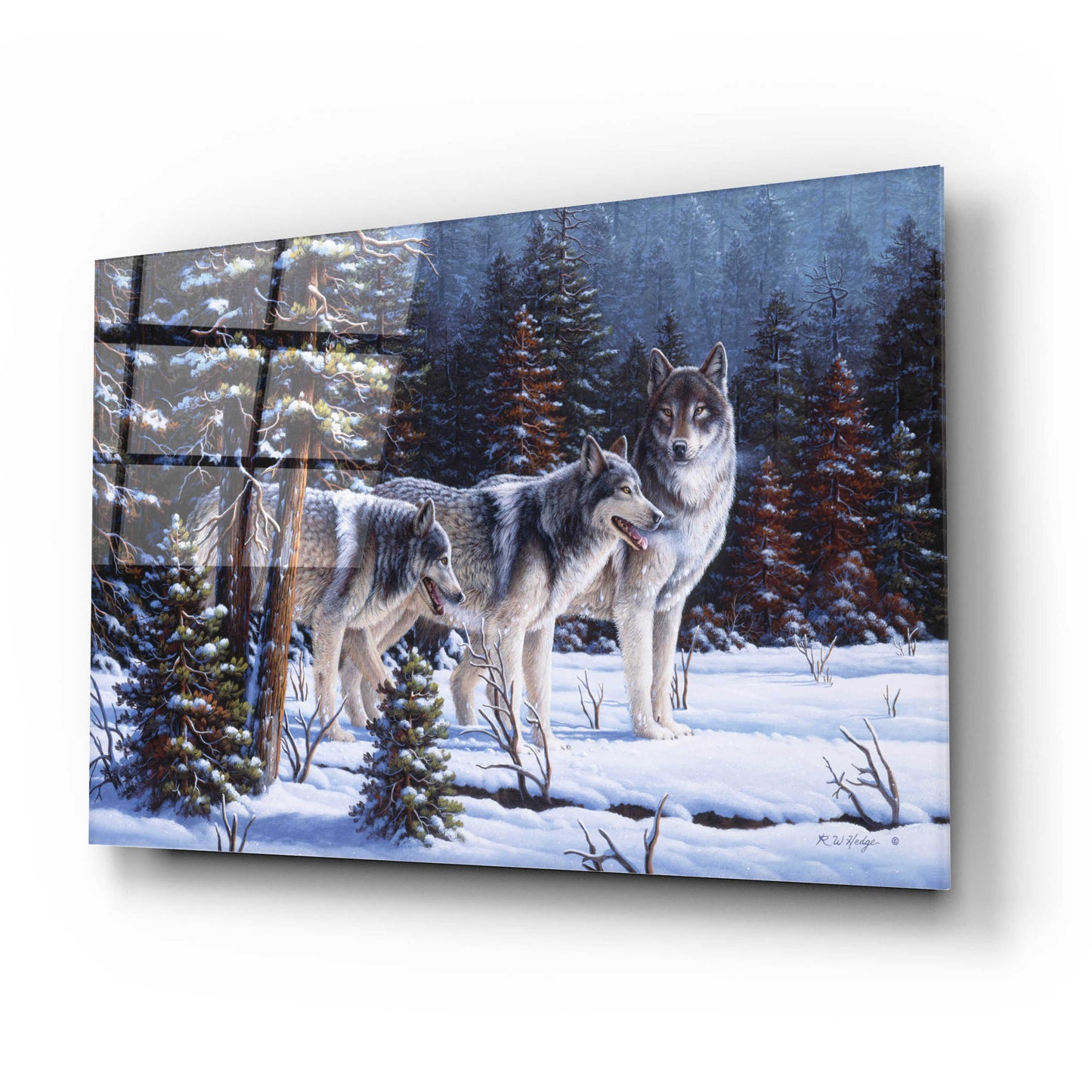 Epic Art 'Winter Coats' by R. Hed, Acrylic Glass Wall Art,24x16