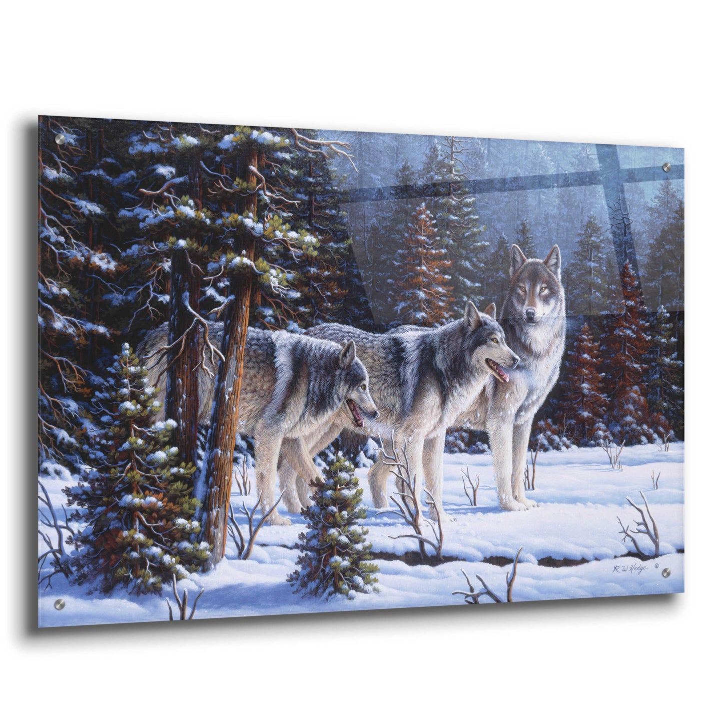 Epic Art 'Winter Coats' by R. Hed, Acrylic Glass Wall Art,36x24