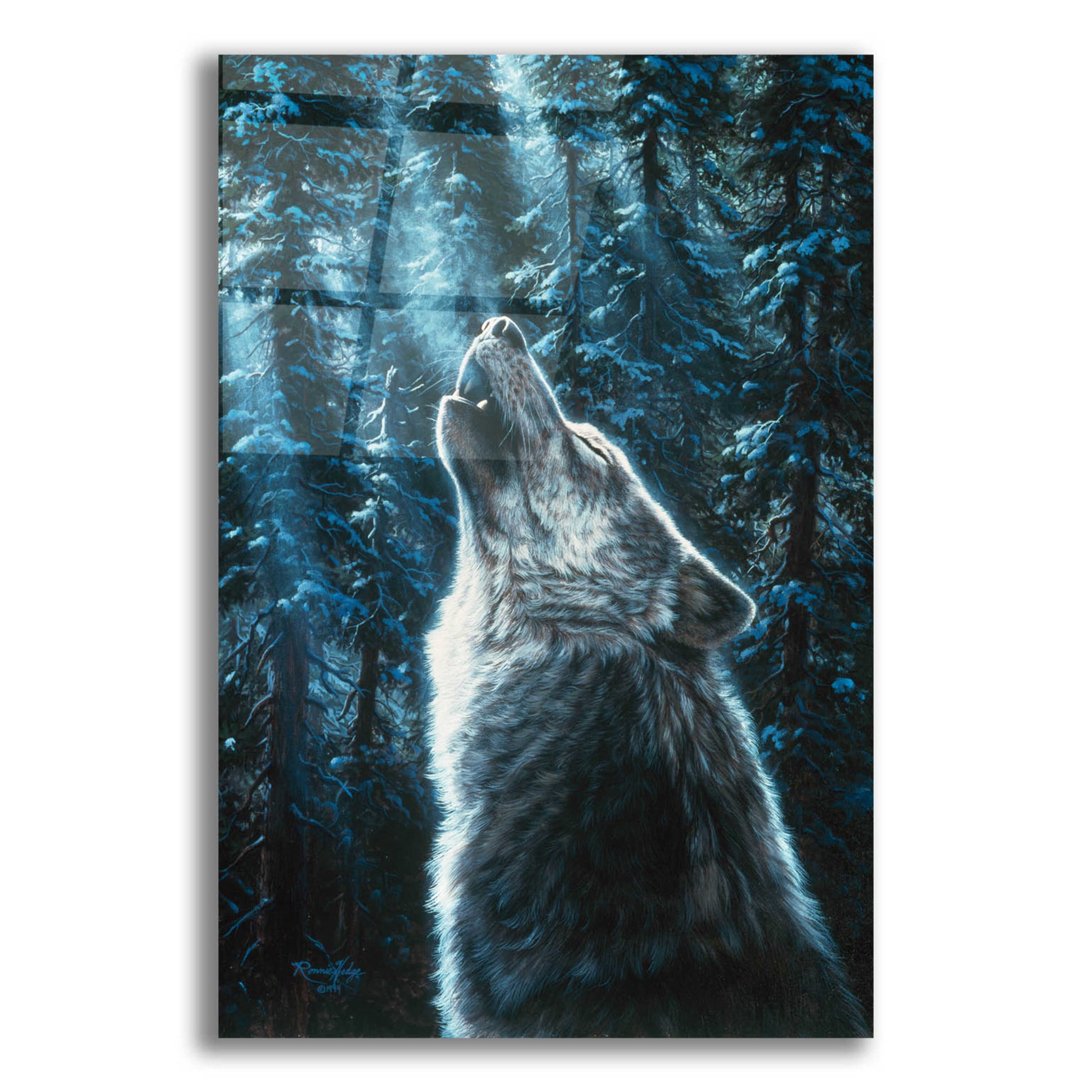 Epic Art 'Moonlight' by R. Hed, Acrylic Glass Wall Art,12x16