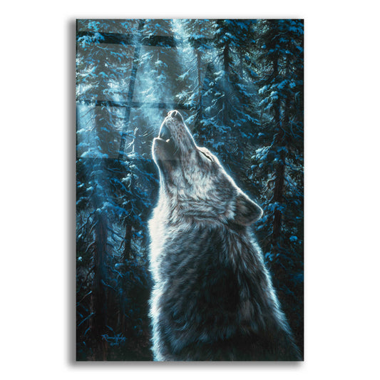 Epic Art 'Moonlight' by R. Hed, Acrylic Glass Wall Art