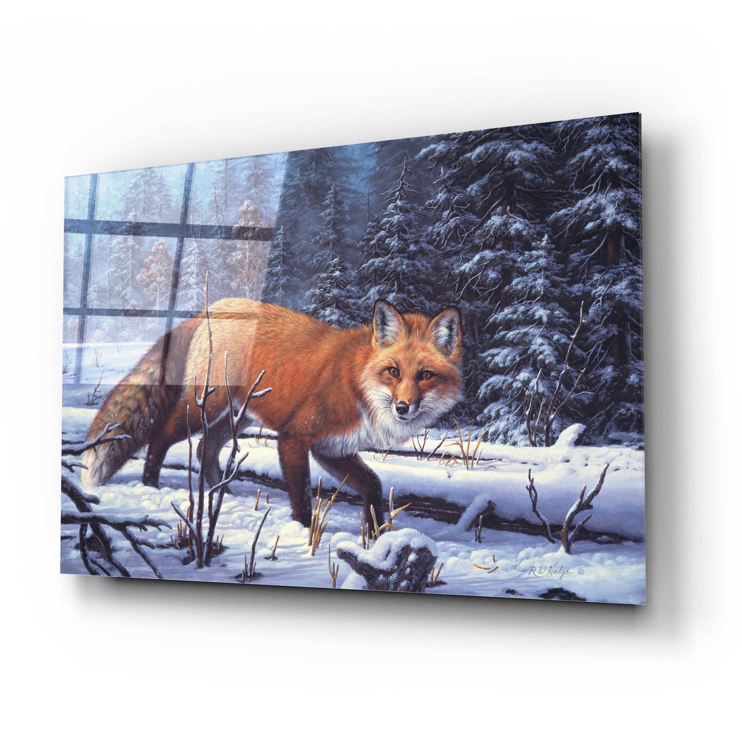 Epic Art 'Winter Charm' by R. Hed, Acrylic Glass Wall Art,24x16