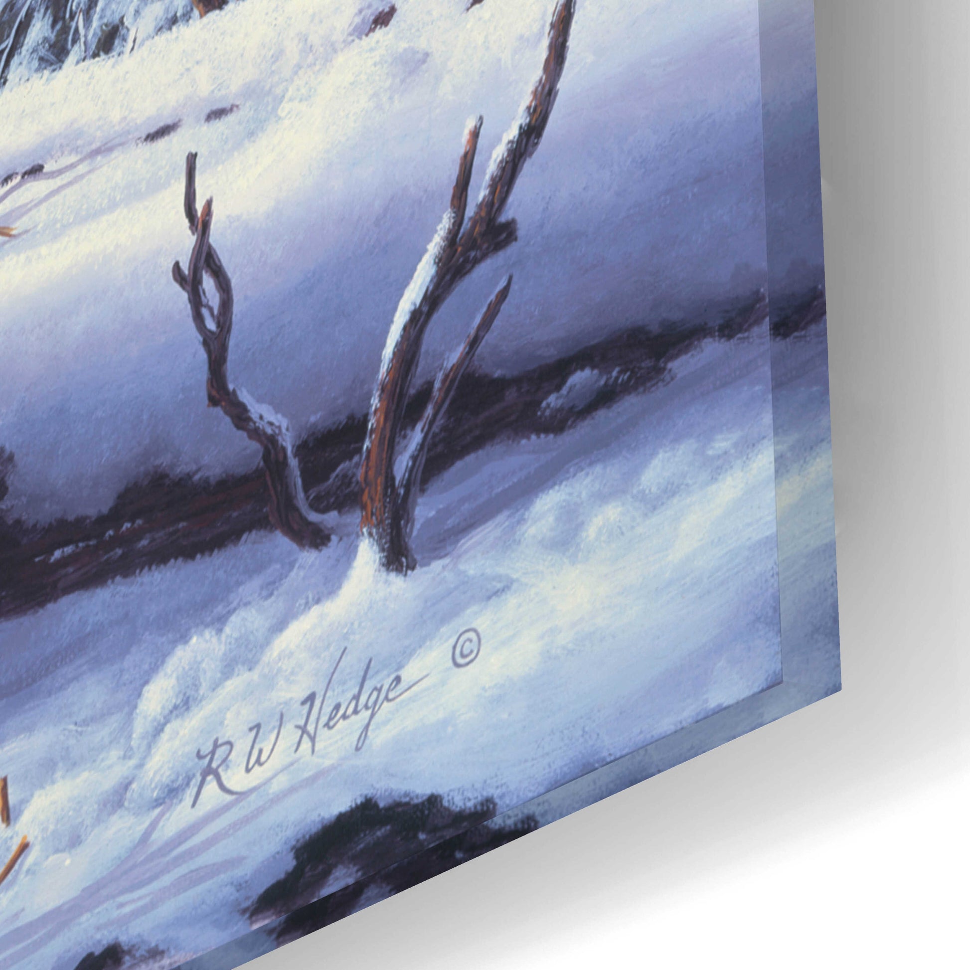 Epic Art 'Winter Charm' by R. Hed, Acrylic Glass Wall Art,24x16